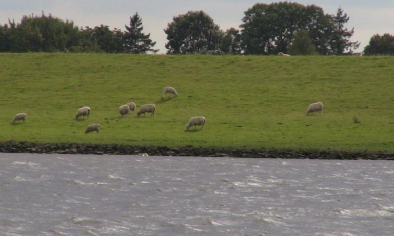 Urlaub Zu Coronazeiten In Nordennorddeich