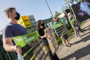 Deutsches Tierschutzbüro e.V. Schockbilder aus Tönnies- Zulieferbetrieb: Tierrechtler*innen zeigen Bilder auf Leinwand vor Tönnies-Schlachthof in Sögel (Niedersachsen)