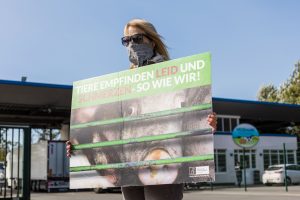 Deutsches Tierschutzbüro e.V. Schockbilder aus Tönnies- Zulieferbetrieb: Tierrechtler*innen zeigen Bilder auf Leinwand vor Tönnies-Schlachthof in Sögel (Niedersachsen)